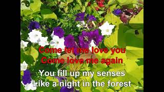 KARAOKE Annies Song John Denver [upl. by Ylime]