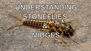 Understanding Stoneflies amp Midges with Tom Rosenbauer [upl. by Trow]