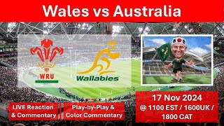 Wales vs Australia  Autumn Rugby Internationals  17 Nov 2024 [upl. by Wernda]