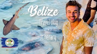 My Perfect Belize Travel Adventure  10 Days Belize Itinerary With Your Ultimate Belize Travel Vlog [upl. by Gracia]