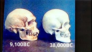 Oldest Negroid Skull ever found Date revision 2019 [upl. by Sobel]