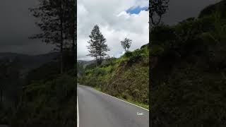 Nuwaraeliya Pundaluoya road 🌳⛰️nature nuwaraeliya travel asiancountry [upl. by Laux855]