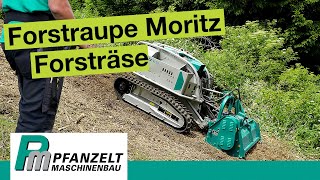 Forstmulcher im Hang Was kann die Moritz Fr50 Raupe als Böschungsmäher [upl. by Ikairik]