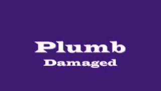 Plumb Damaged With Lyrics [upl. by Immas]