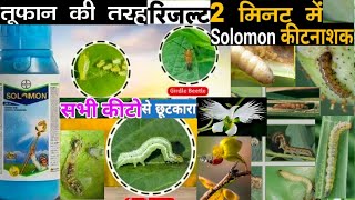 Solomon insecticideBayer Solomon insecticideBetaCyfluthrin  ImidaclopridSolomoninsecticidekheti [upl. by Sherilyn]