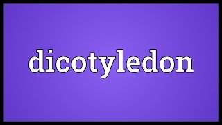 Dicotyledon Meaning [upl. by Ardnikal]