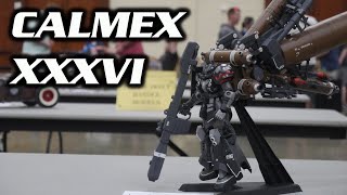 SWAMP Meet  CALMEX 37  HobbyView [upl. by Noivax]