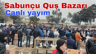 Sabunçu Quş Bazarı canlı yayımı [upl. by Enirehs677]