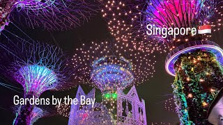 Gardens by the Bay Light Show 4K [upl. by Elaval219]