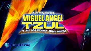 Mix de cumbias Insuperables  Miguel Angel Tzul y su Marimba Orquesta [upl. by Mikkel]