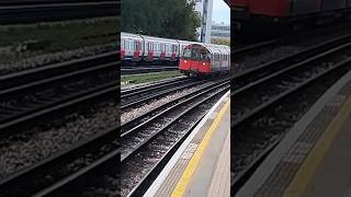 Double tube at Chiswick Park train railway cool viralvideo london shorts fyp underground [upl. by Hawkins]