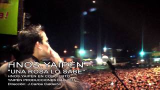 Hermanos Yaipen  Una Rosa Lo Sabe Video Promocional [upl. by Assyla462]