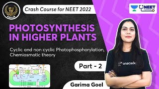 Phoenix 20 Biology Most Important Video for NEET 2025  Unacademy NEET Toppers  Udaan [upl. by Euhsoj]