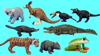 Rainforest Jungle and Australian Wild Animals Toys Collection  Learn Animal Names [upl. by Berthoud]