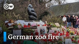 German zoo fire Women turn themselves in to police  DW News [upl. by Piefer204]