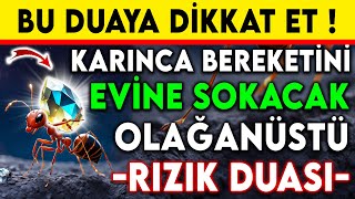 BU DUAYA DİKKAT ET  KARINCA BEREKETİNİ EVİNE SOKACAK OLAĞANÜSTÜ RIZIK DUASI [upl. by Lemyt]