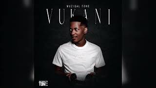 Muziqal Tone  Vukani feat Amu Classic Kappie Mkeyz amp frankeys [upl. by Eddi]