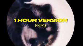 PEDRO  Raffaella Carrà Remix  1 HOUR VERSION TikTok Trends 2024 [upl. by Maloy]