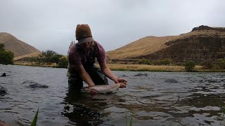 Ignition Problems Deschutes Steelhead and Fat Fall Fish trout [upl. by Naegem760]