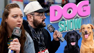 Meet The Breeds Dog Show ft Grace OMalley  Out amp About Adventures Ep 2 [upl. by Ardiedak]