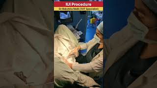 IUI Procedure  intrauterine insemination procedure  by Dr Rakshita Malik ivfcenter iuitreatment [upl. by Skelton]