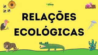 O QUE SÃO RELAÇÕES ECOLÓGICAS  RESUMO ESCOLAR [upl. by Frieder]