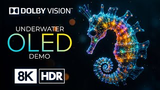 UNDERWATER WORLD with 8K HDR Dolby Vision 60FPS [upl. by Noiztneb539]