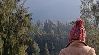 Trip to bromo pulang review Ladewi Homestay Ds Jetak Kec Sukapura Probolinggo travelvlog [upl. by Munshi]