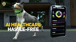 Tracking pet with AI tracker  Super Vet  Best GPS tracker in 2023 [upl. by Ahtibbat]