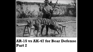 AR15 vs AK47 for Bear Defense Part 2 [upl. by Naesar210]