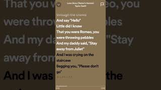 Love story  Taylor Swift  sped up  lyrics [upl. by Ecertak711]