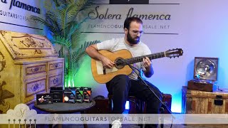 Modesto Borreguero 1930 flamenco guitar for sale played by Toni Abellán [upl. by Dranyam]