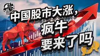 第454期：中国股市大涨，疯牛要来了吗？｜【岩论】 [upl. by Brandyn]