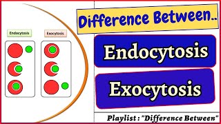 Difference between Endocytosis and Exocytosis cell cells biology bivkedar [upl. by Jarek533]