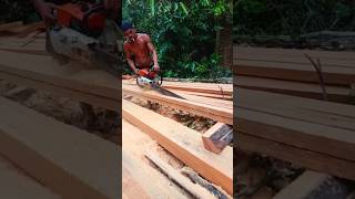 Amazing Wood cutting [upl. by Alrats]