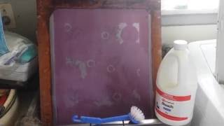 Removing silkscreen emulsion with bleach [upl. by Marabelle]