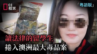 送貨一次賺10000澳元，中國讀法律留學生捲入澳洲最大毒品案，24噸價值超10億 [upl. by Alegnave]