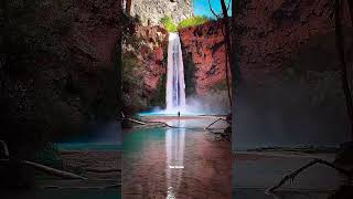 Swimming in Havasu Falls would be a dream come true 😍travel havasufalls shorts [upl. by Afton]