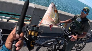 Florida keys Bridge fishinglaw enforcement visit [upl. by Nine]