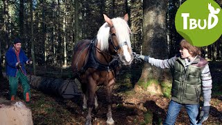 Schlangenbeschwörer Folge 5  Tiere bis unters Dach  SWR Plus [upl. by Kenton]