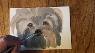 Shih Tzu painting Pet portrait Time lapse video Abstract Art [upl. by Eillim219]