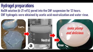 ARTICLE 2011 CNF hydrogel by NaOH amp neutralization [upl. by Ydnelg]