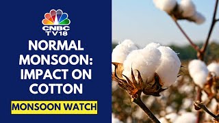 Above Normal Rain Prediction Brings Hope For Cotton Output  Monsoon 2024  Monsoon Watch CNBC TV18 [upl. by Yemirej]