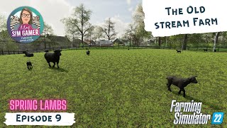 Spring Lamb  Farming Simulator 22 FS22  Episode 9 [upl. by Atteuqehs]