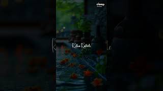 Shyam Singha Roy Movie Sirivennela Song WhatsApp Status Lyrics nani saipallavi [upl. by Hyacinthia]