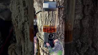 Subscribe Today Mouthwash dispenser More like whiskey dispenser hunting bourbon whiskey deer [upl. by Postman]