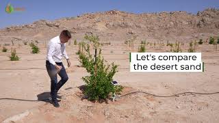 Growing trees and food in the desert while preserving water [upl. by Nelly]