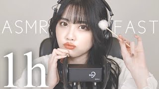 ASMR 超高速！耳かき👂🏻耳タッピング👂🏻【1時間】 [upl. by Ambler]