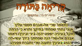 24 פָּרָשַׁת quotלֵךְ לְךָquot  עֲלִיַּת שִׁשִּׁי [upl. by Aniuqahs]