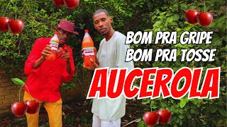 BOM PRA GRIPE BOM PRA TOSSE AUCEROLA  Zé Paulo e Zhaw CLIPE OFICIAL DJ Gui no Beat [upl. by Ilamad665]